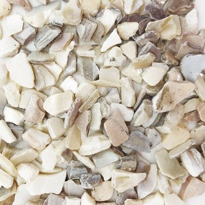 Freshwater Mother of Pearl Aggregates  #0