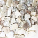  Freshwater Mother of Pearl Aggregates #2