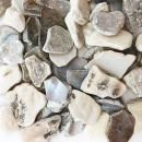 Freshwater Mother of Pearl  Aggregates #3