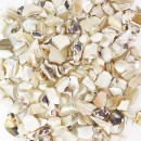 Seawater Mother of Pearl Aggregates #2 