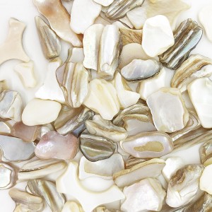 Polished mother of pearl chips #3