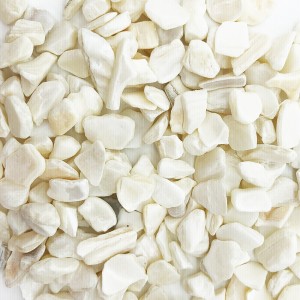 White mother of pearl aggregate #!